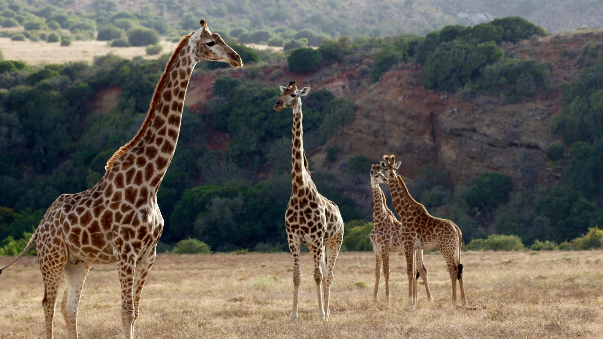 Selbstfahrerreise durch den Südosten Südafrikas & eSwatini
